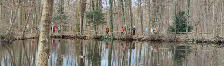 Wandern: Rund um den Steinbrücker Teich