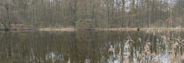 Wandern: Halbtagswanderung zum Ernst-Ludwig-Teich