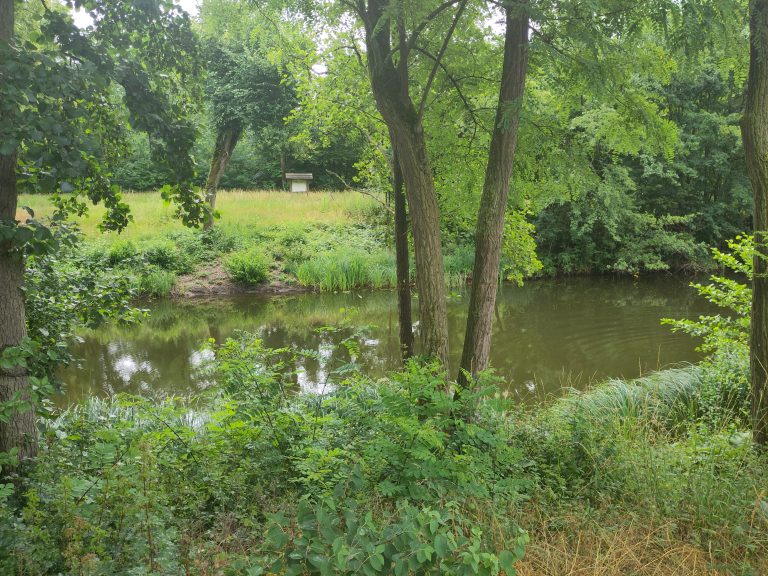 Wandern: Von Haßloch, am Horlachegraben entlang zum Ostpark in Rüsselsheim