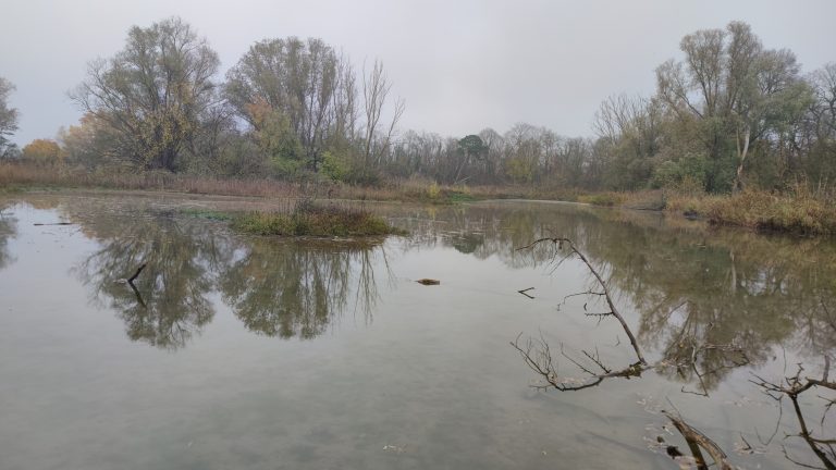 Wandern: Heimatlich-idyllischer Weygandsbusch-See